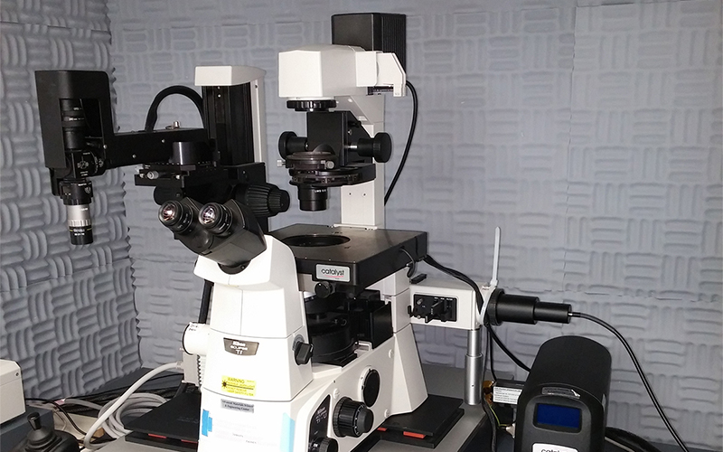 Atomic Force Microscope